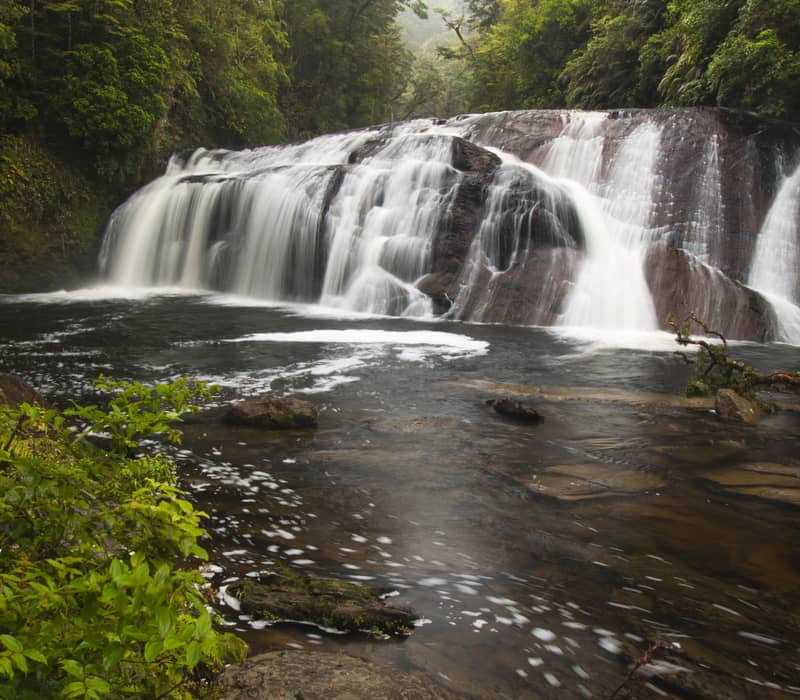 Waterfall flowing over rocks in a lush green forest with a river below.