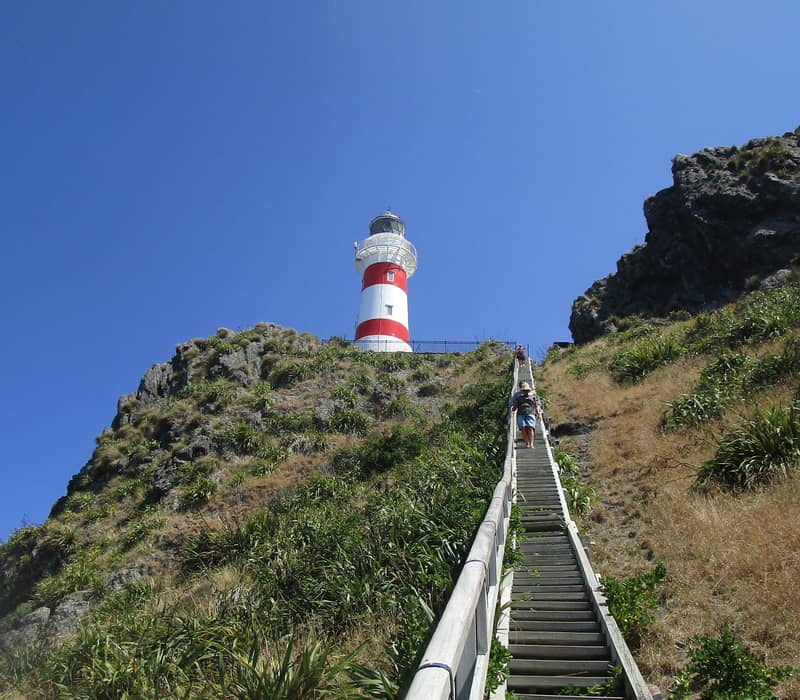 A visitor ascends a steep wooden staircase leading up a rugged cliff face to the red-and-white striped Cape Palliser Lighthouse. Credit: Martinborough Wine Tours