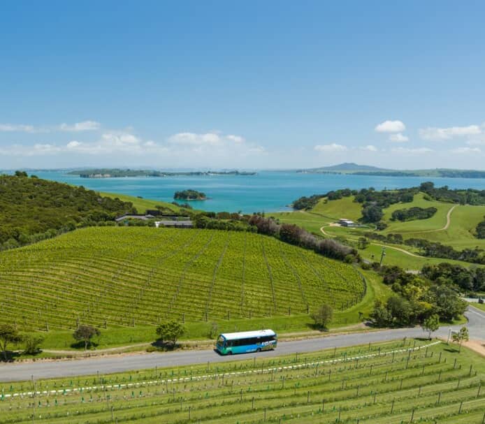 Tour bus driving along road through vineyard with ocean and hills in the background on Waiheke Island.