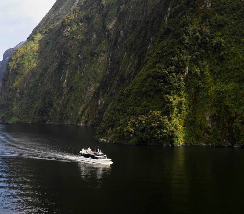 Cruise boat sailing on calm fjord water near steep green cliffs.