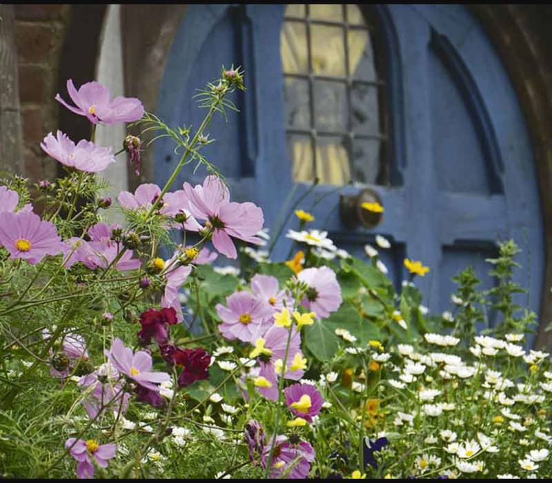 Colorful wildflowers bloom in front of a blue wooden door with a stone arch.