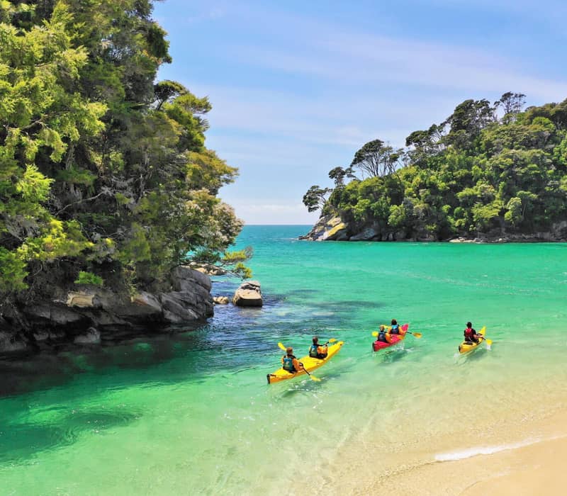 Four kayakers paddling in clear turquoise water near a sandy beach and forested coastline.
