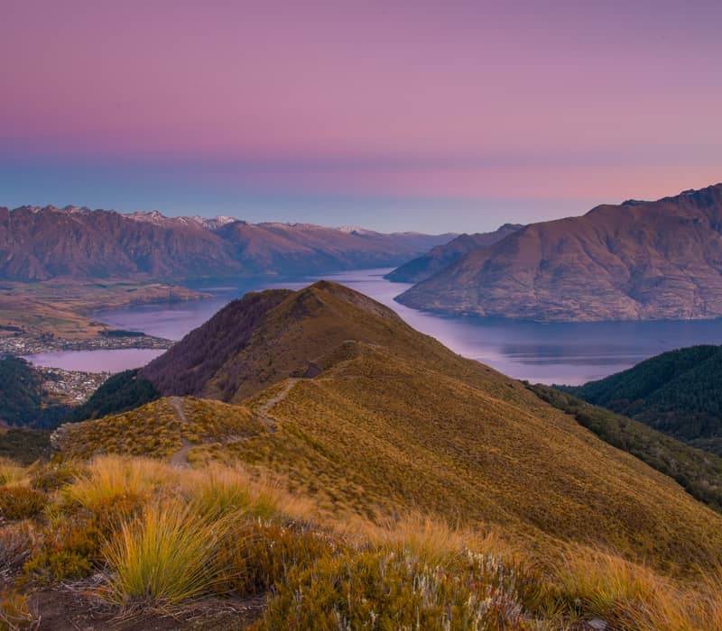 Sunset over mountains and lake with golden grass in foreground and purple-pink sky