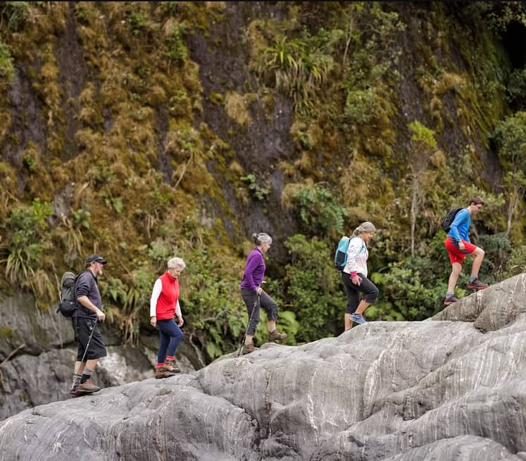Group of hikers walking on rocks in a forested area during an eco tour.