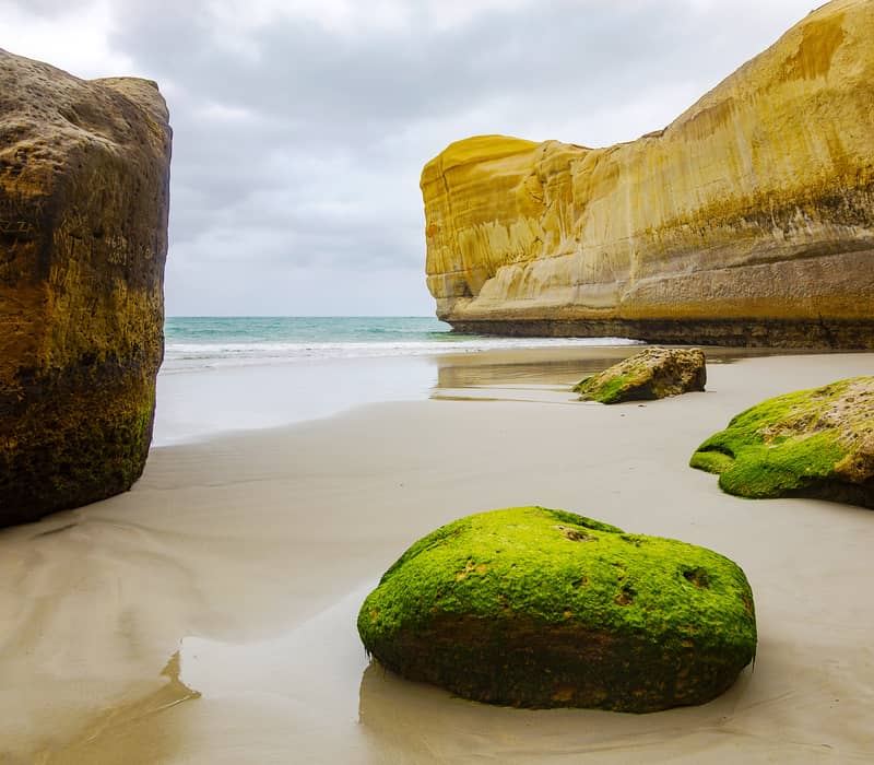 Bright green moss-covered boulders sit on a white sandy beach framed by towering yellow sandstone cliffs at Tunnel Beach, Dunedin.