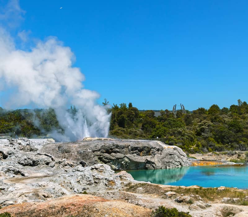 Steam erupts from Whakarewarewa geyser near bright blue hot spring under a clear blue sky.