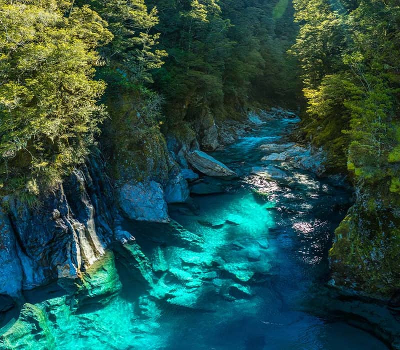 Crystal clear river flowing through lush forest in New Zealand's South Island.