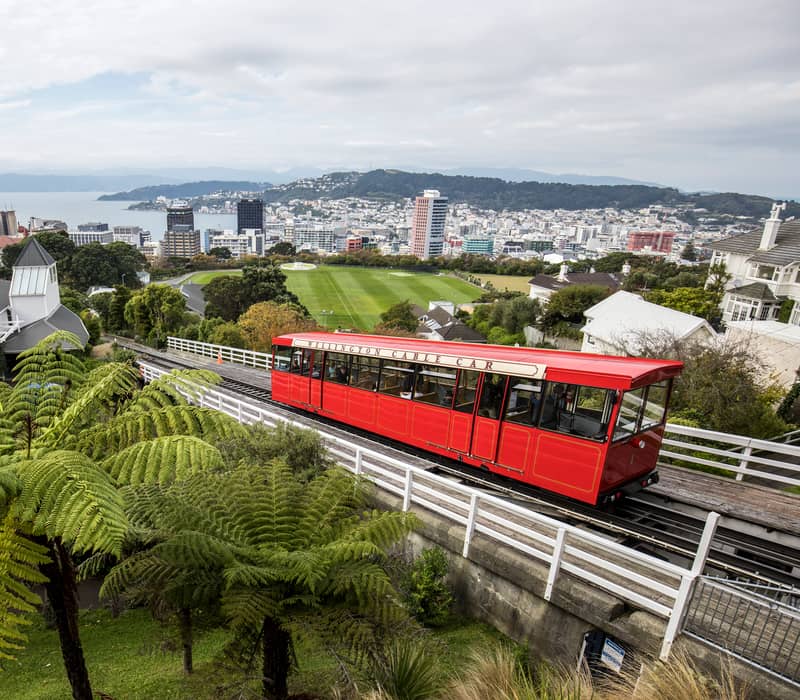 A red cable car on tracks overlooking Wellington city buildings and the blue harbour.