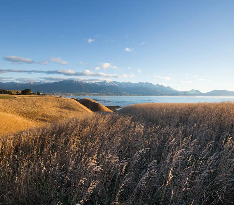 Grass-covered hills overlooking a calm sea with distant snow-capped mountains and a clear blue sky.