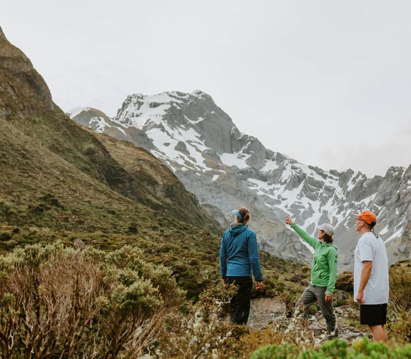 Three hikers standing in a mountain valley with snow-capped peaks and green shrubs.