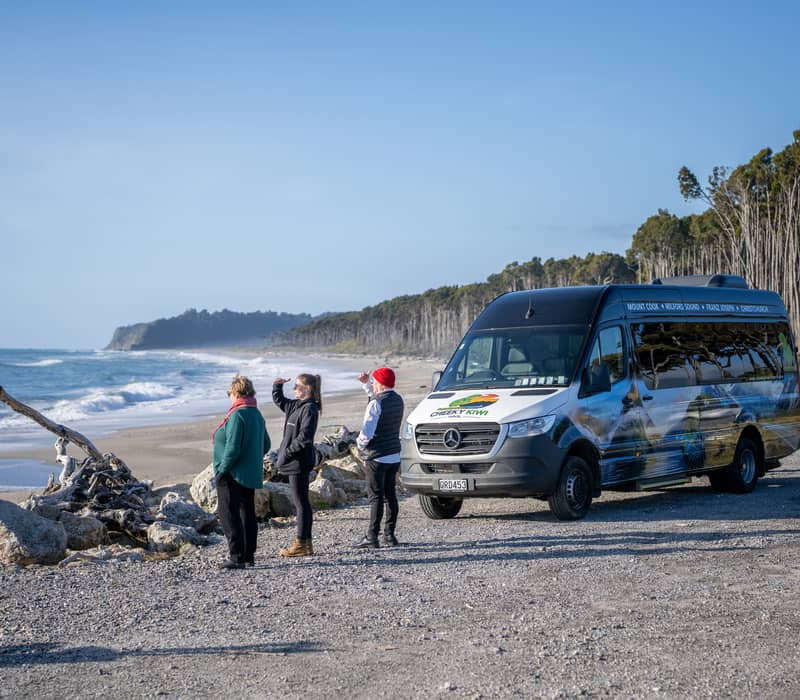 Tourists by a minibus looking at the ocean on a beach with forest backdrop.
