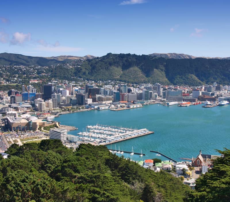 Wide aerial view of Wellington Harbour with city, marina, hills, and blue water under clear sky