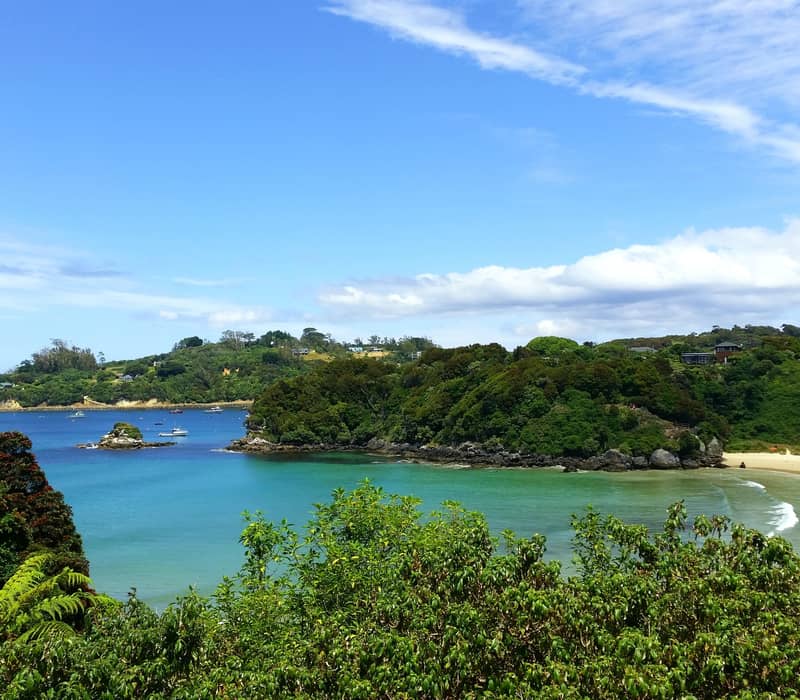 Scenic beach bay with green trees and boats on clear blue water under a blue sky