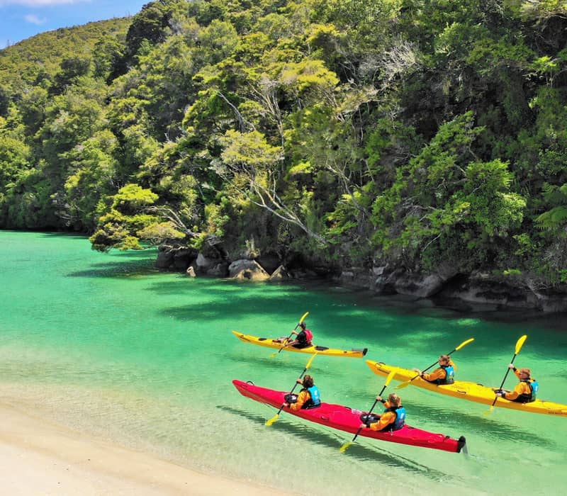Four people kayaking in red and yellow kayaks on clear turquoise water beside a beach and forest.