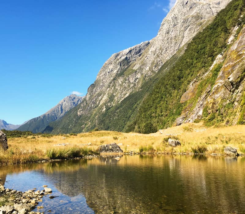 Clear lake reflecting rocky mountain slopes and green grass under a bright blue sky on Milford Track.