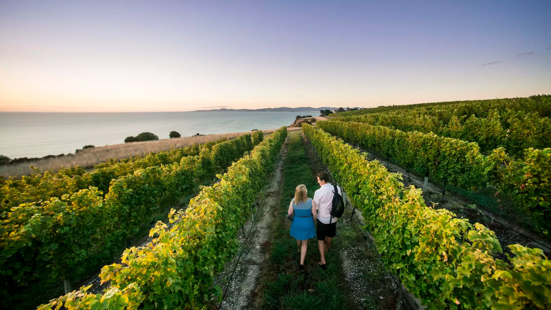 North to South Food & Wine Journey