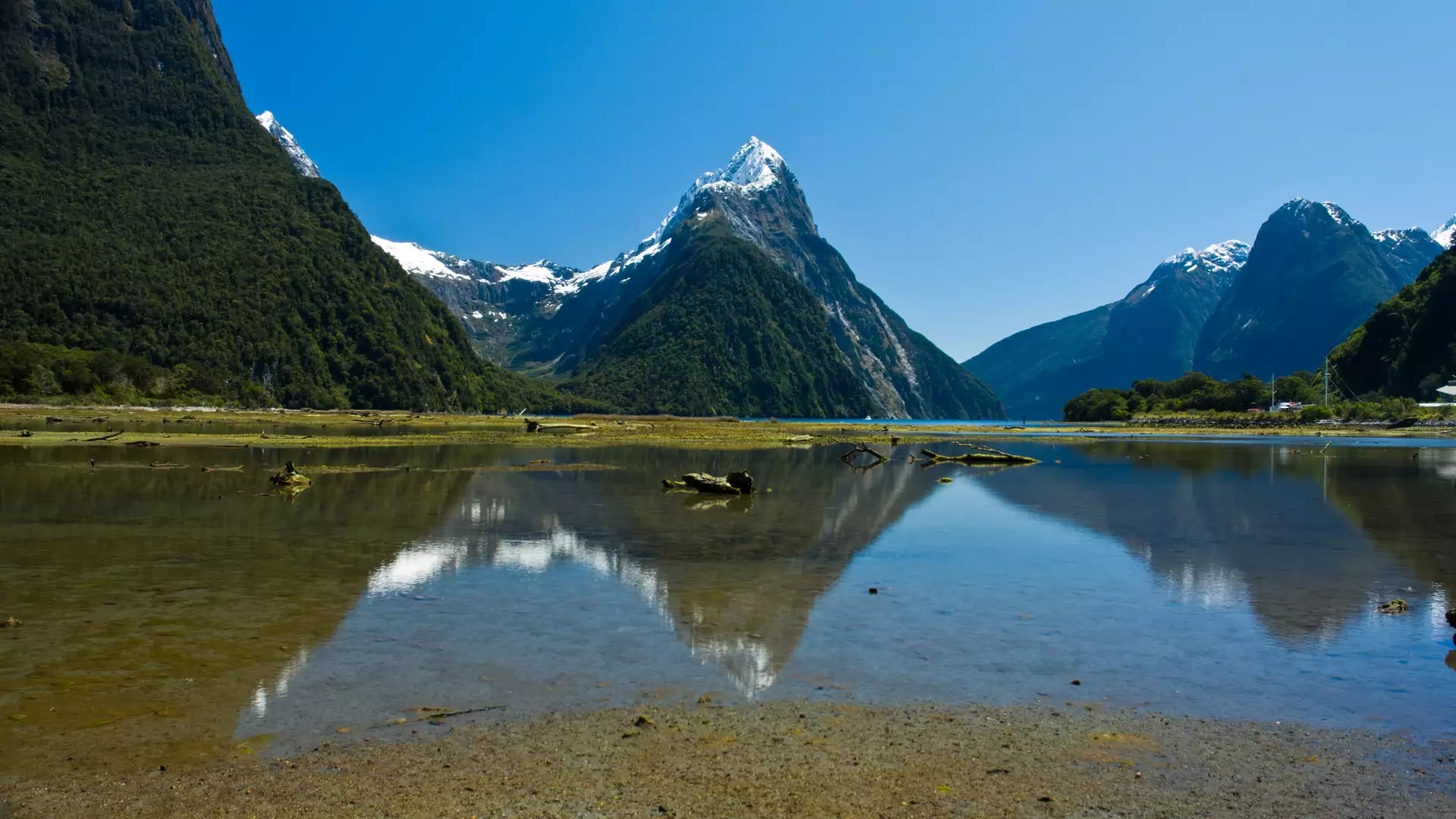 Milford Sound mountains reflecting in calm water under clear blue sky.