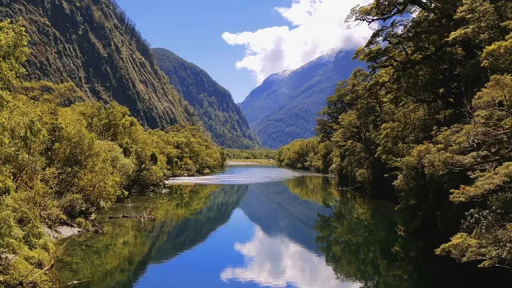 Calm river reflecting mountains and trees in Arthur Valley on the Milford Track, Fiordland.