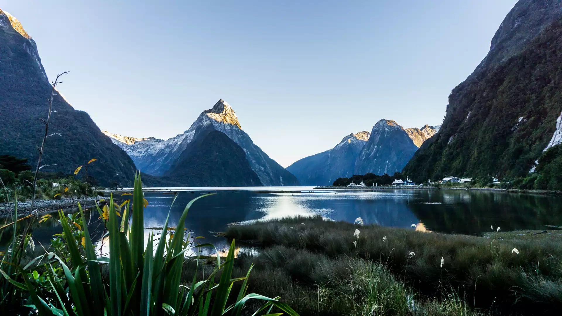 Milford Sound fiord with calm water, mountains, and vegetation under a clear blue sky.