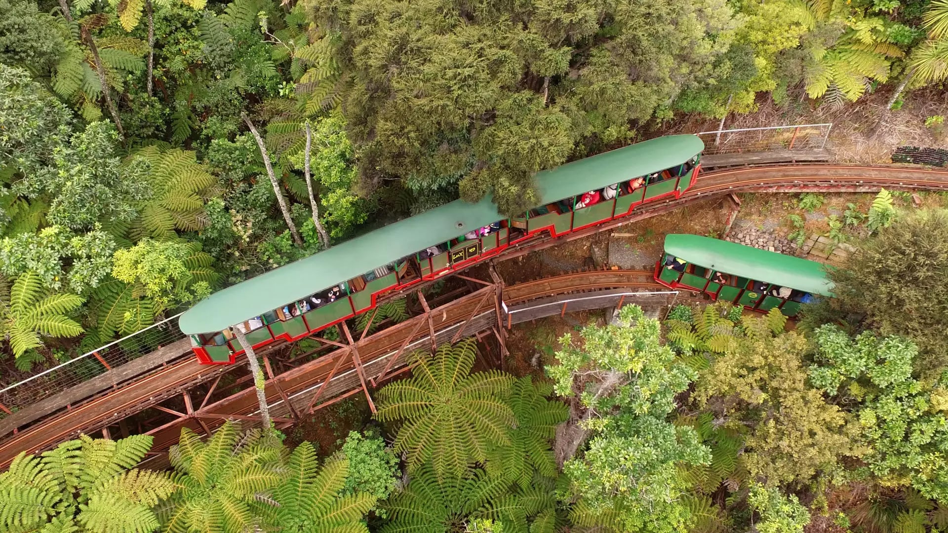 A green train traveling on curved tracks through dense forest with lush tree ferns and passengers aboard.