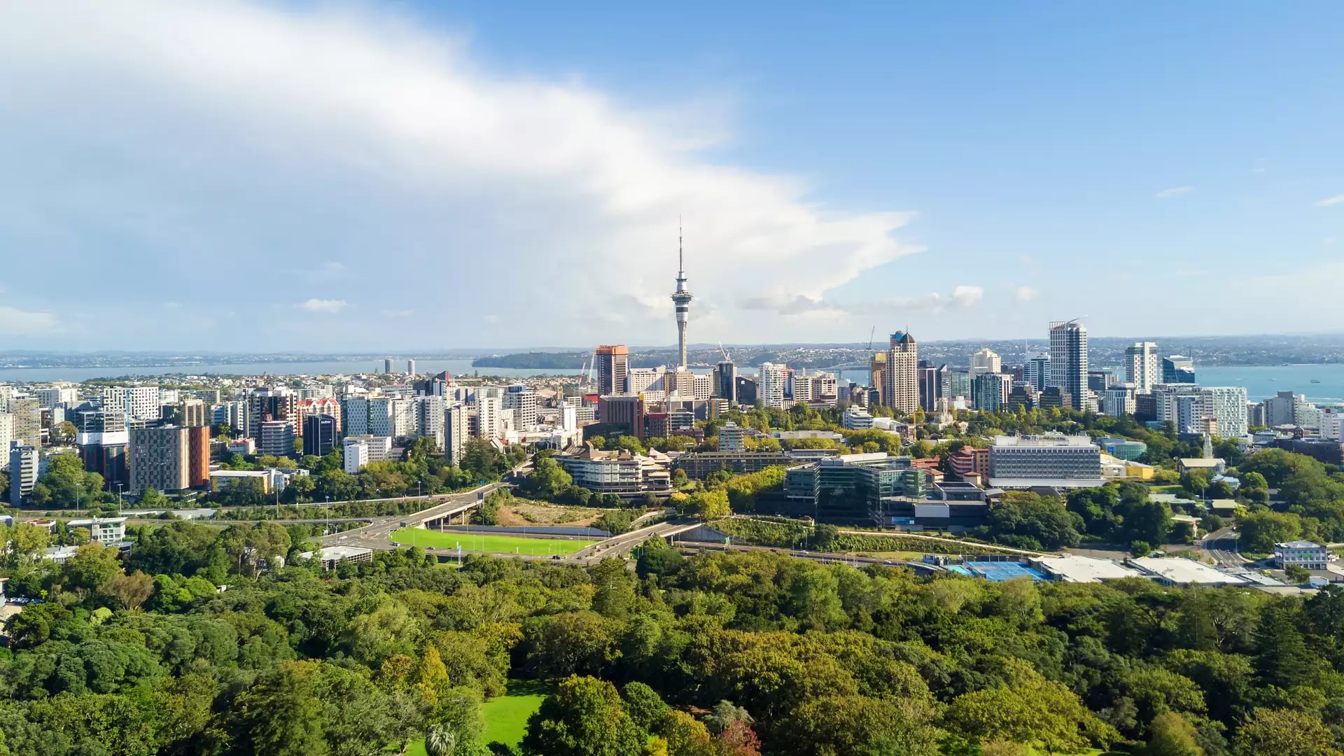 A panoramic morning view of the Sky Tower and downtown Auckland framed by the green slopes of Mt Eden.