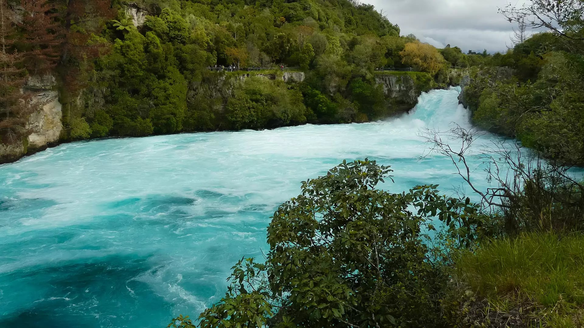 Powerful, turquoise-blue water surges over Huka Falls into a wide, churning pool surrounded by lush green native forest under a cloudy sky.