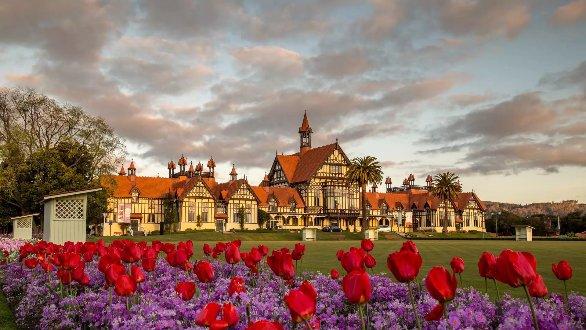 The historic Tudor-style Rotorua Museum building stands behind a vibrant flower bed of red tulips and purple blossoms under a soft sunset sky.