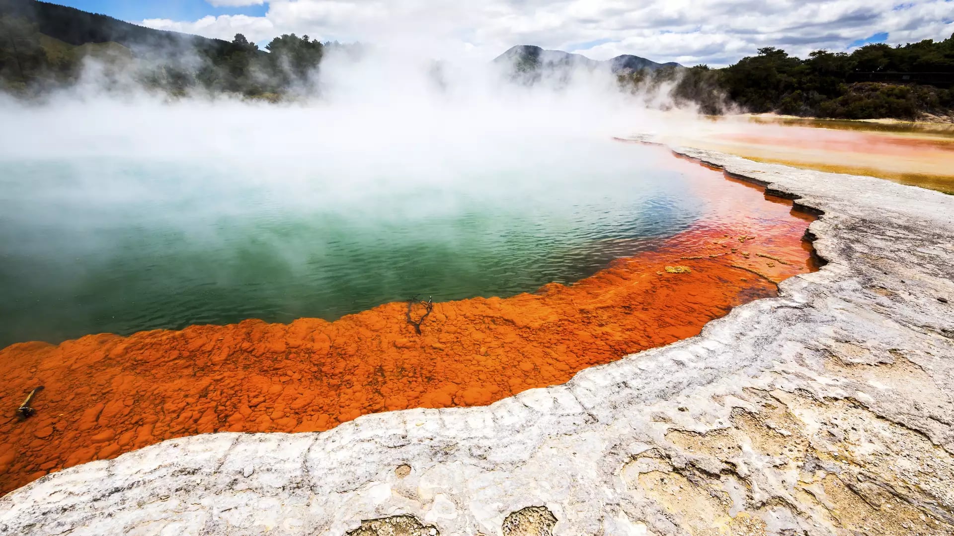 Steaming turquoise water fills the Champagne Pool geothermal spring, bordered by a vibrant orange mineral edge and white silica crust at Wai-O-Tapu.