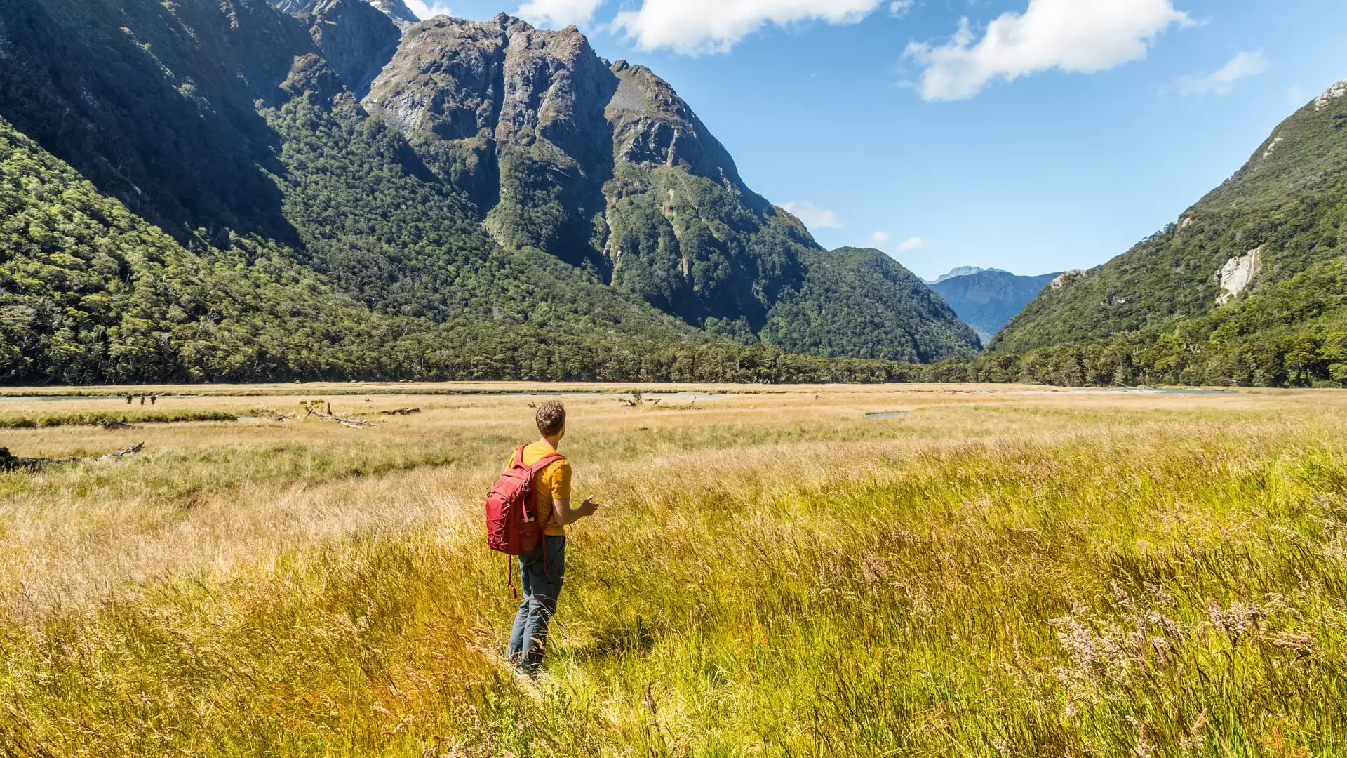 Hiker in red backpack standing in golden field with mountains and blue sky