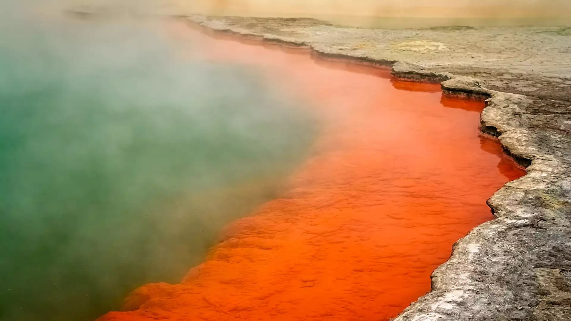 A Taste of the North Island
