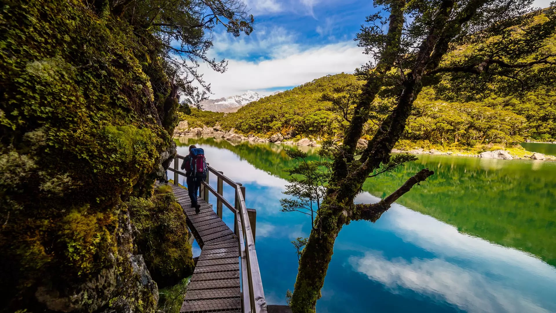 Person hiking on wooden boardwalk next to a clear lake with trees and mountains in the background
