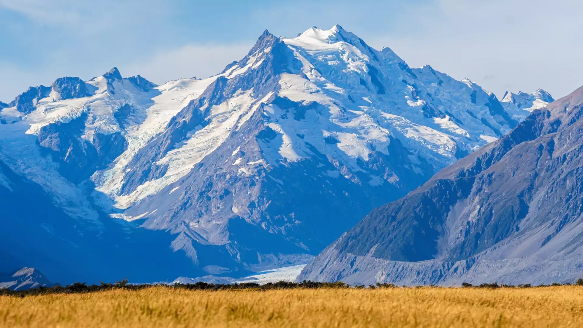 Snow-covered Aoraki Mount Cook mountain with a golden field and blue sky.