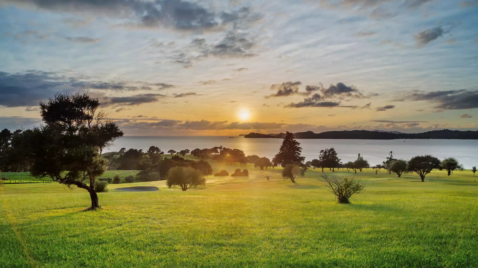 A wide landscape of rolling green lawns and trees at the Waitangi Treaty Grounds during a golden sunrise overlooking the Bay of Islands.