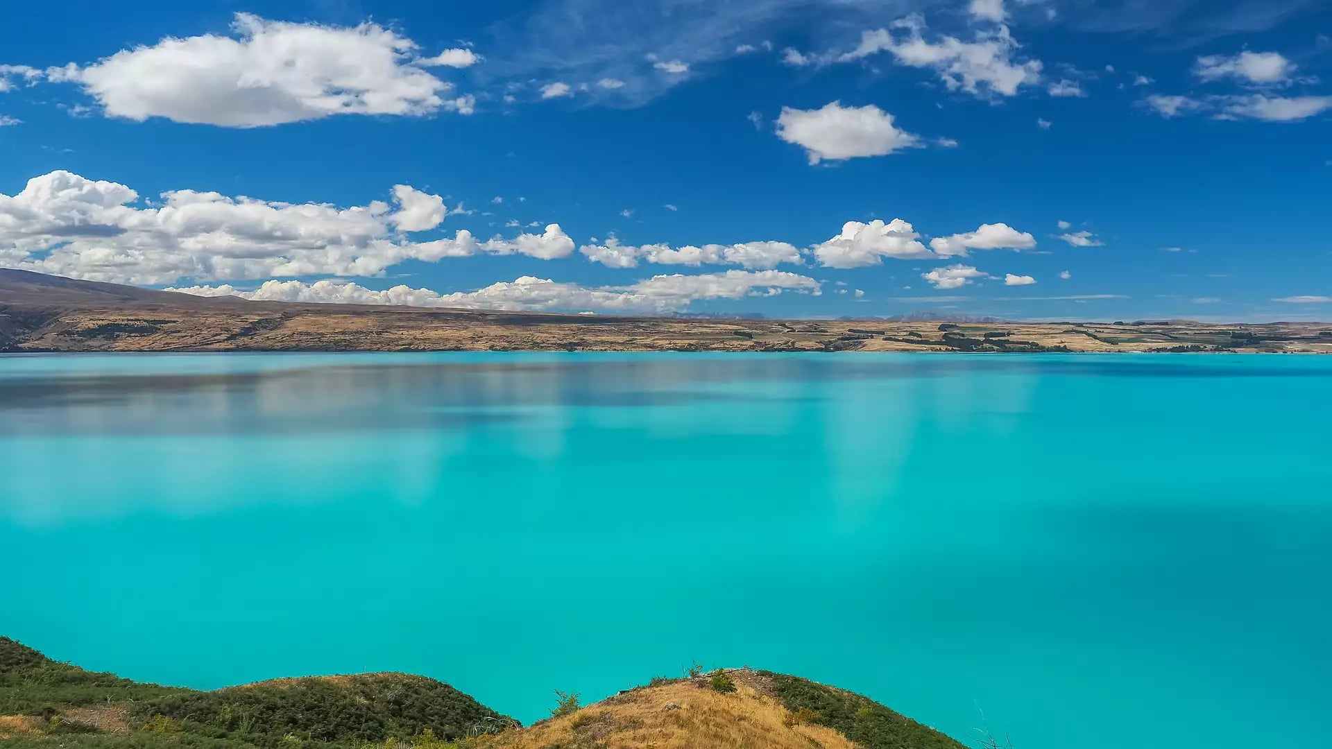 Turquoise Lake Pukaki reflecting clouds with mountains and forest on shore under blue sky