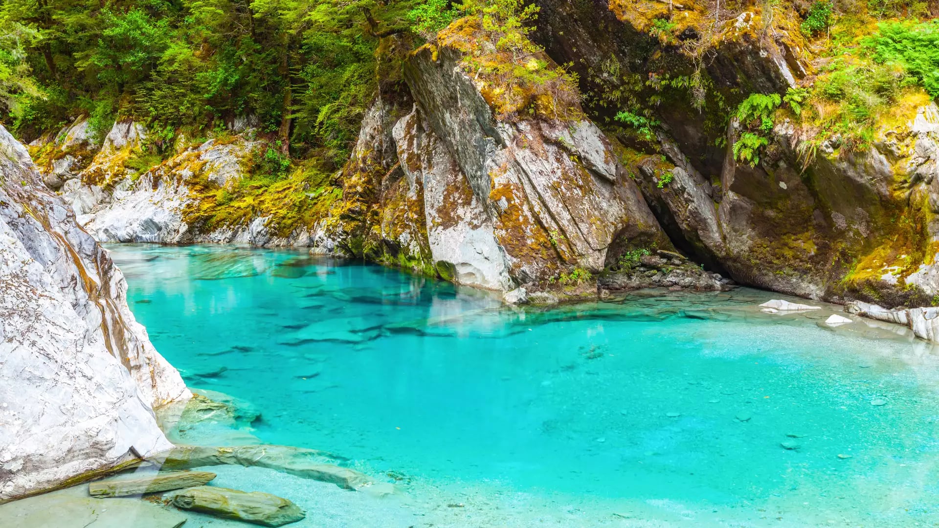 Crystal clear blue water flowing through forested rocky river with moss-covered cliffs.