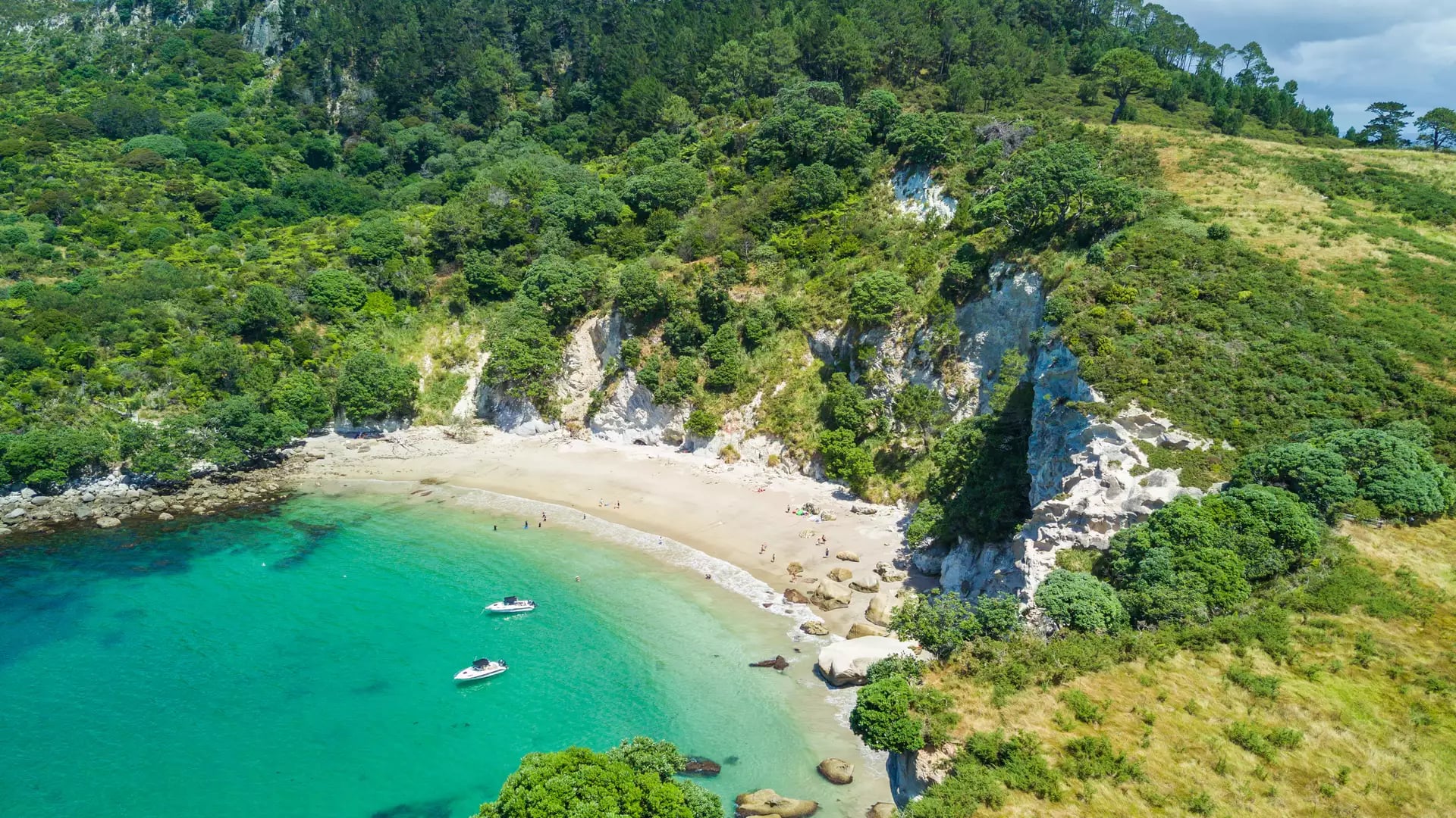 Aerial view of Cathedral Cove beach with forest and turquoise water, boats near shore and cliffs.