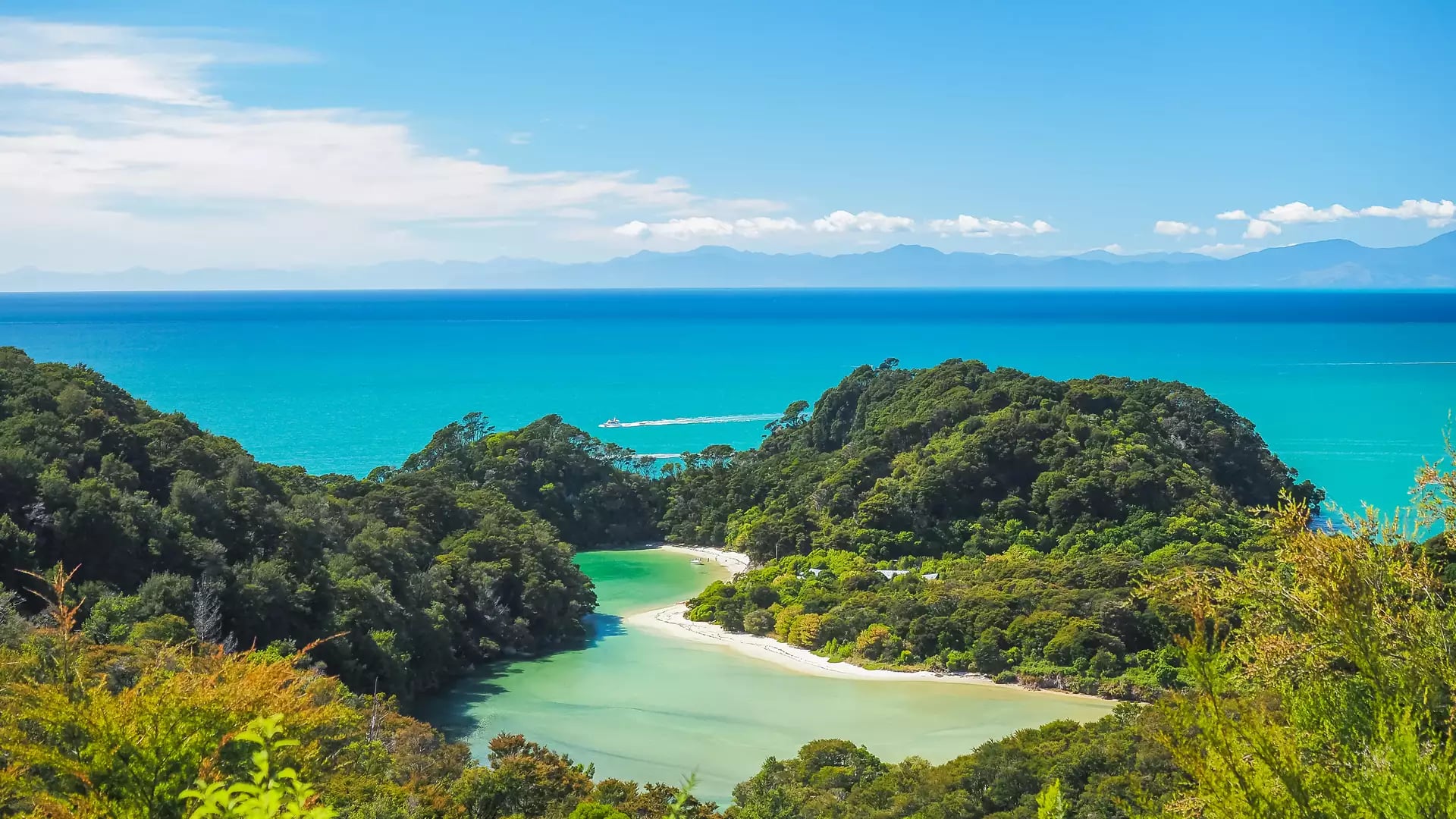Lush green headlands surrounding a bright turquoise lagoon and white sand beach in New Zealand.