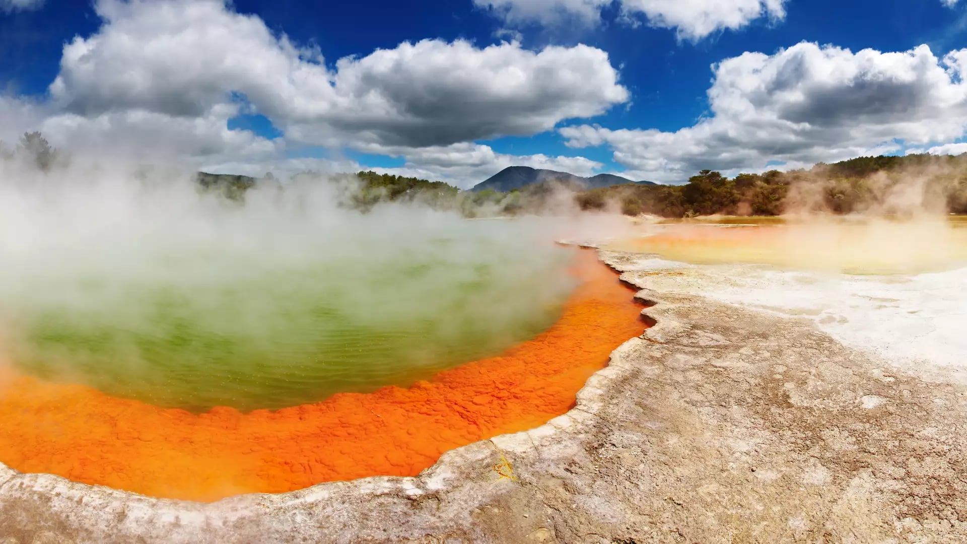 A wide geothermal pool with bright green water and a vivid orange mineral edge surrounded by thick rising steam. Credit: Grand Pacific Tours