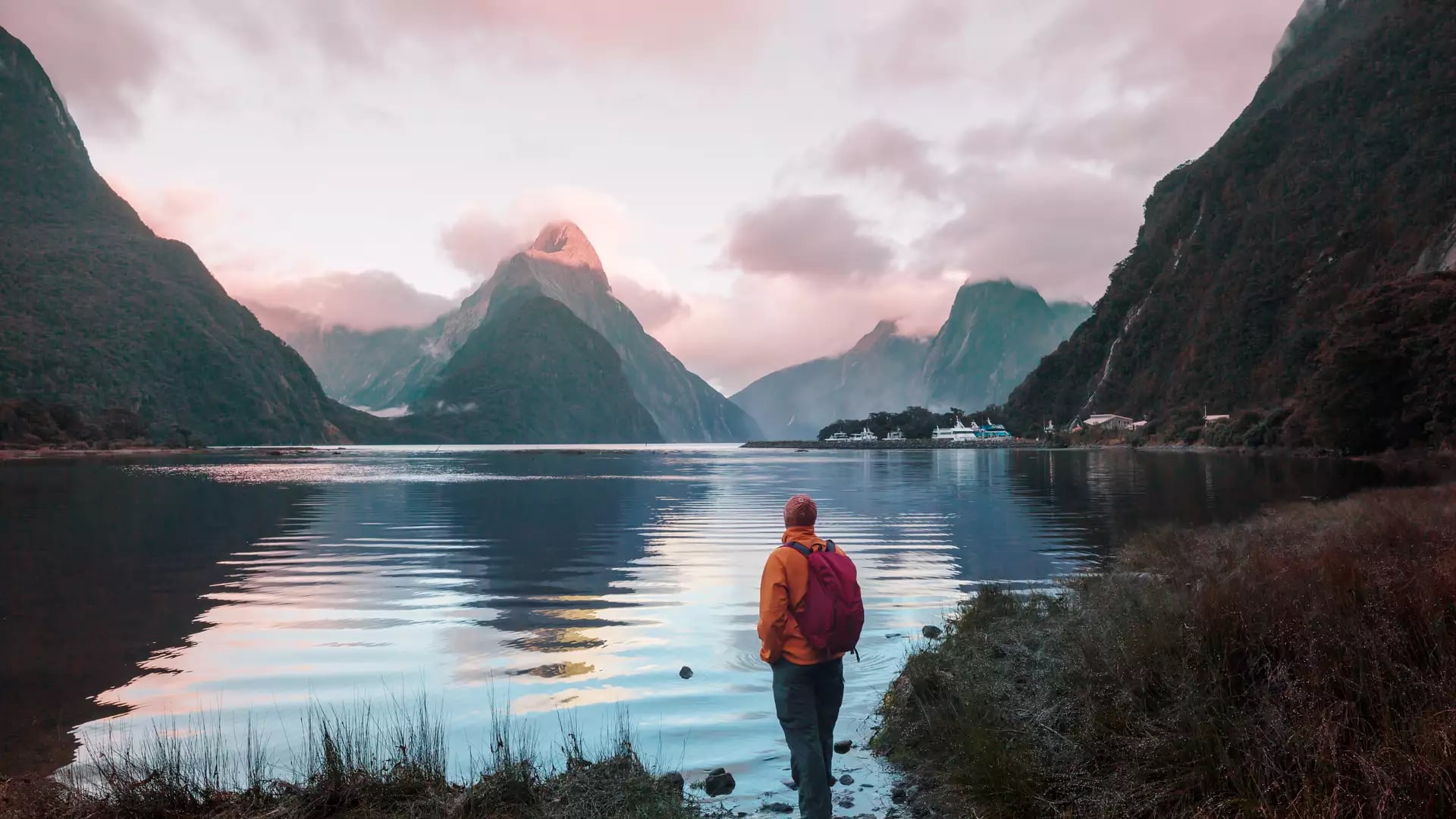 Walker looking at the pink sky sunset at Milford Sound