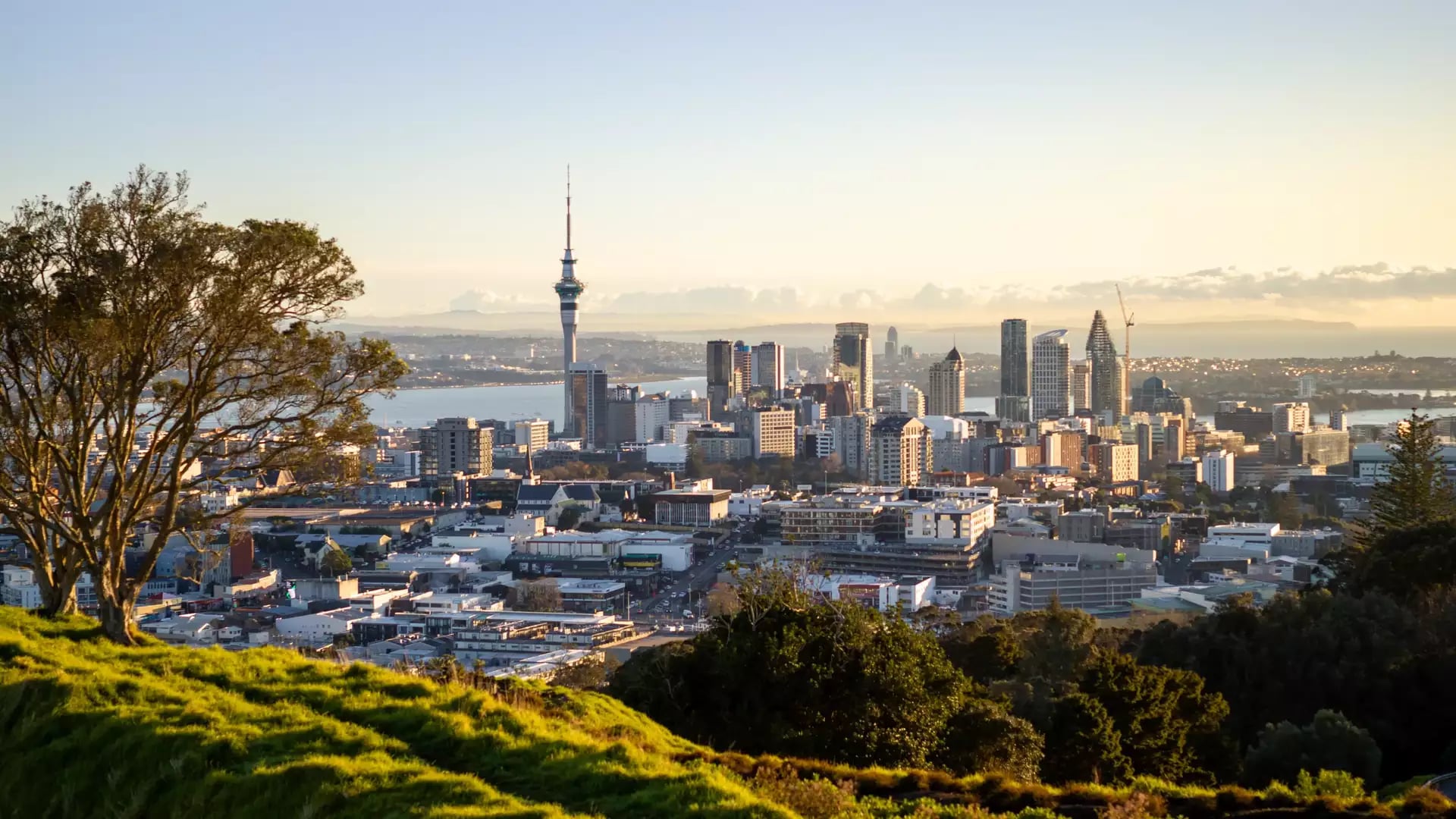 Aerial view of Mt Eden crater and surrounding Auckland city.