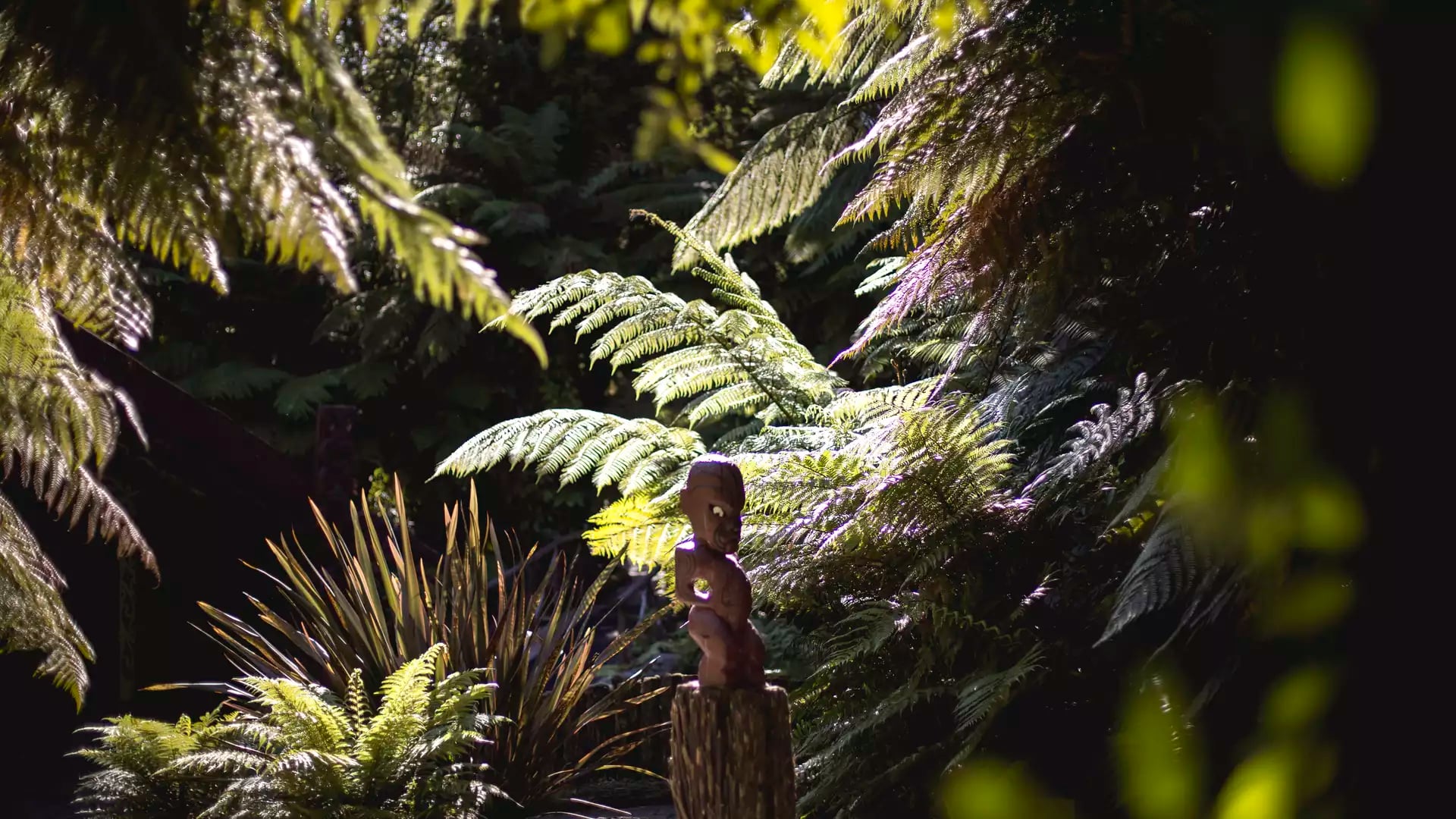 Maori wooden statue surrounded by lush green ferns in sunlit forest setting.