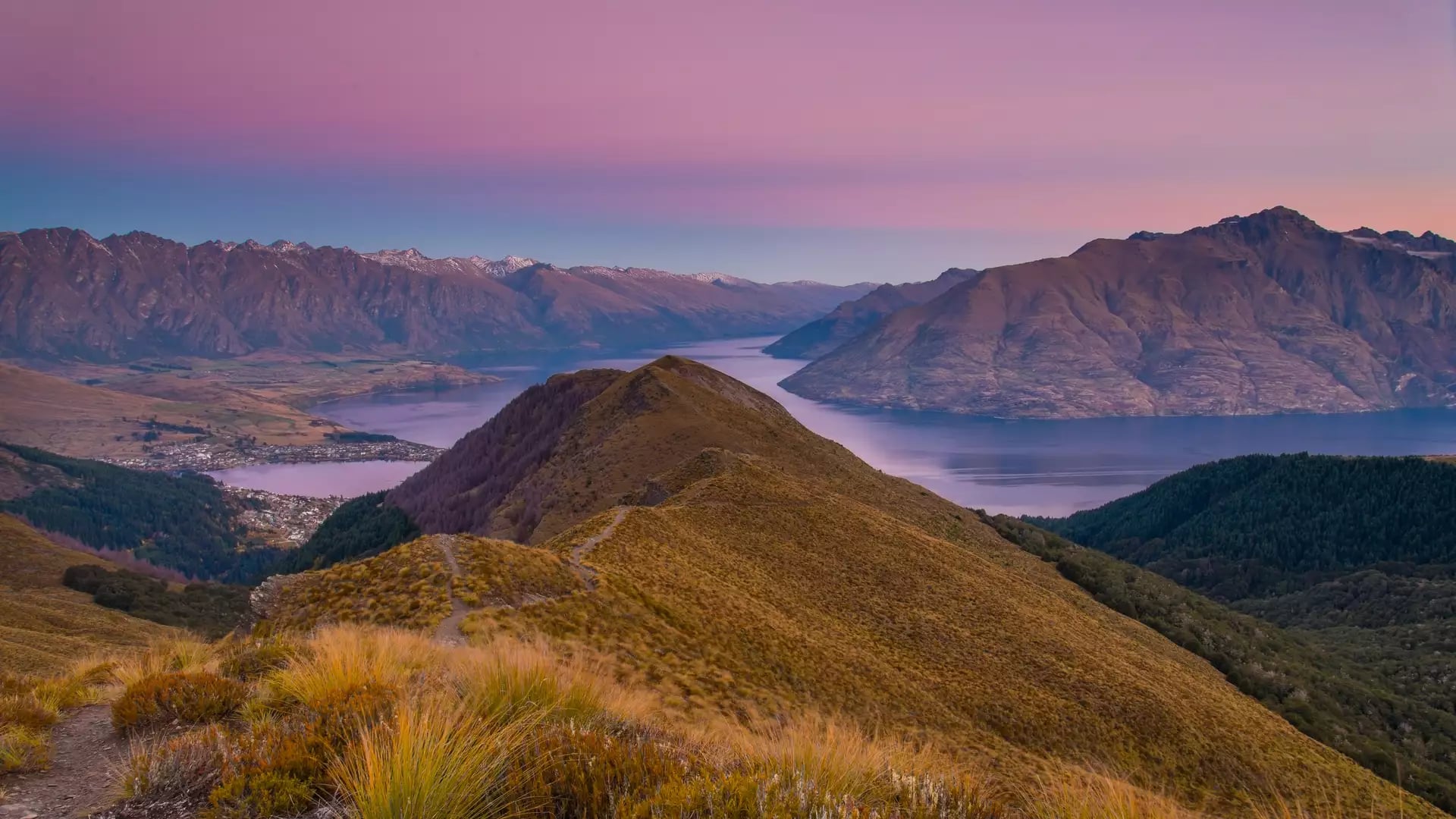 Sunset over mountains and lake with golden grass in foreground and purple-pink sky
