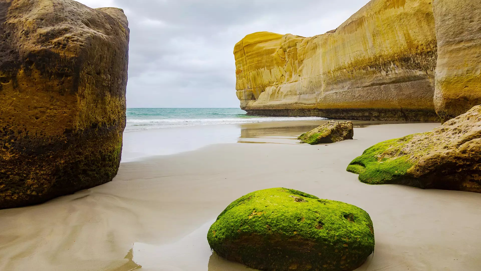 Bright green moss-covered boulders sit on a white sandy beach framed by towering yellow sandstone cliffs at Tunnel Beach, Dunedin.