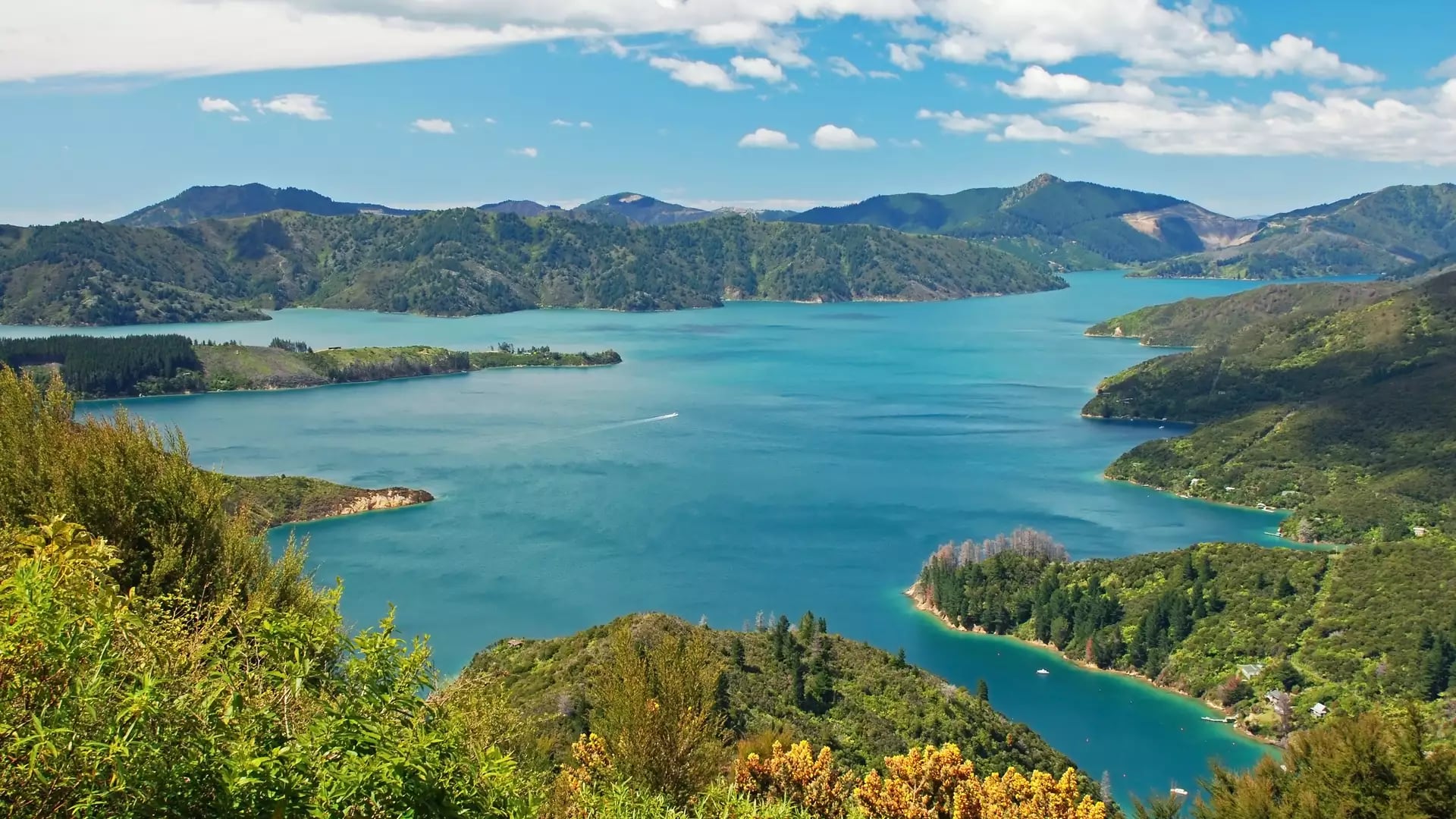 Scenic lake with green mountains and forests under a blue sky with clouds.