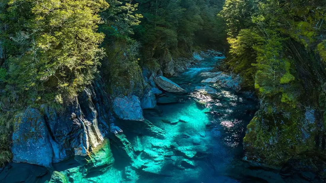 Crystal clear river flowing through lush forest in New Zealand's South Island.