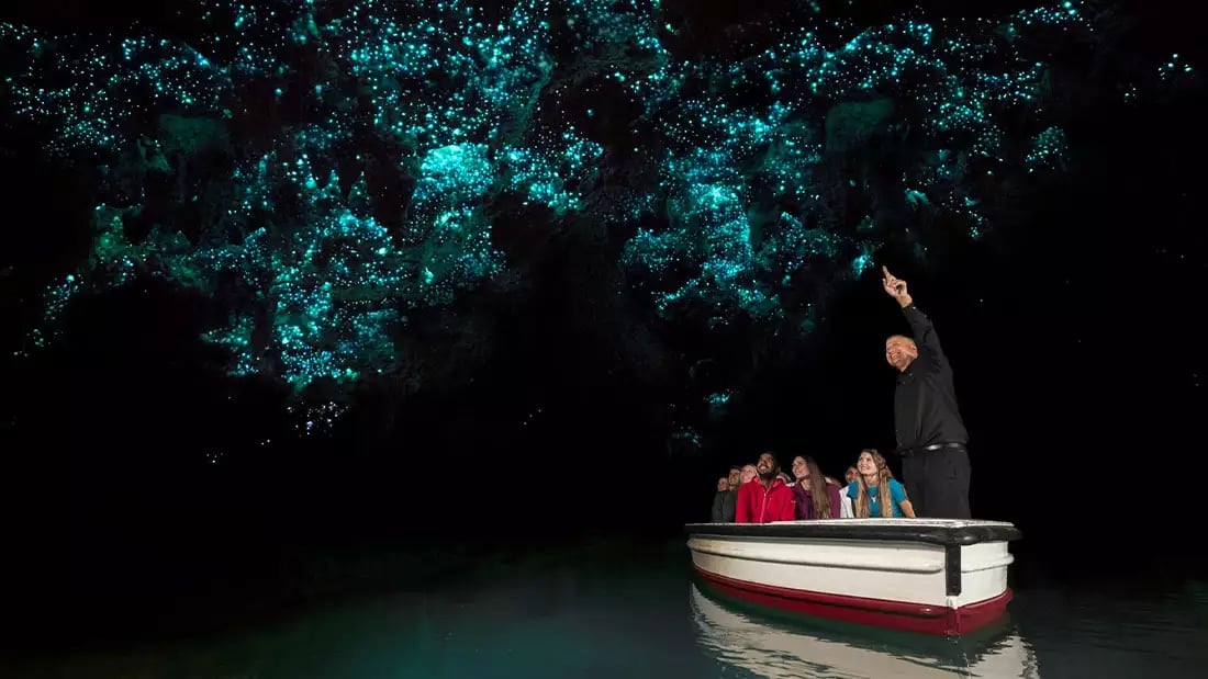 Tourists in boat under glowing bioluminescent ceiling in a cave.