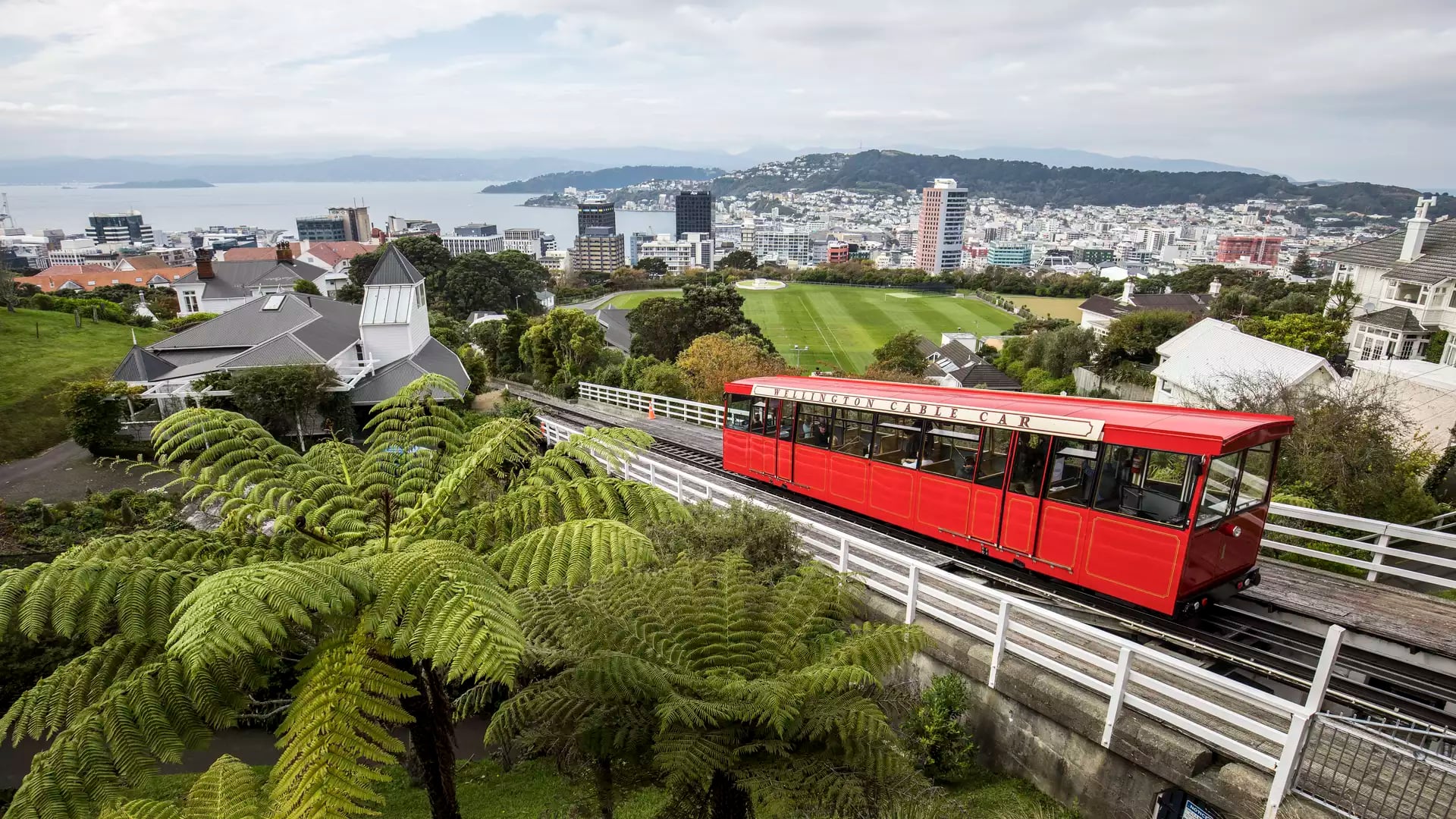 A red cable car on tracks overlooking Wellington city buildings and the blue harbour.