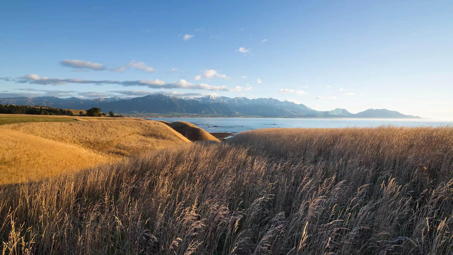 Grass-covered hills overlooking a calm sea with distant snow-capped mountains and a clear blue sky.