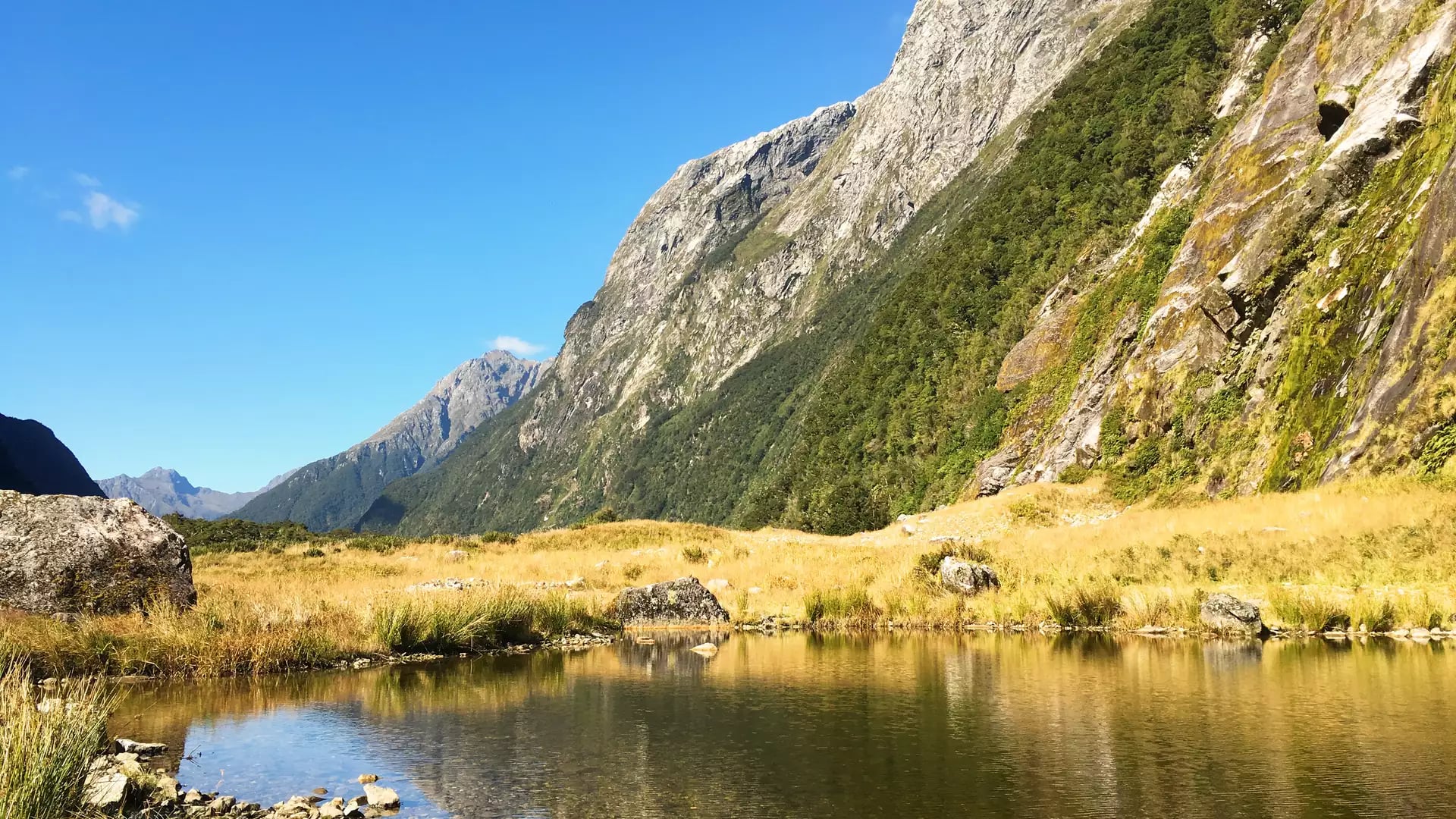 Clear lake reflecting rocky mountain slopes and green grass under a bright blue sky on Milford Track.