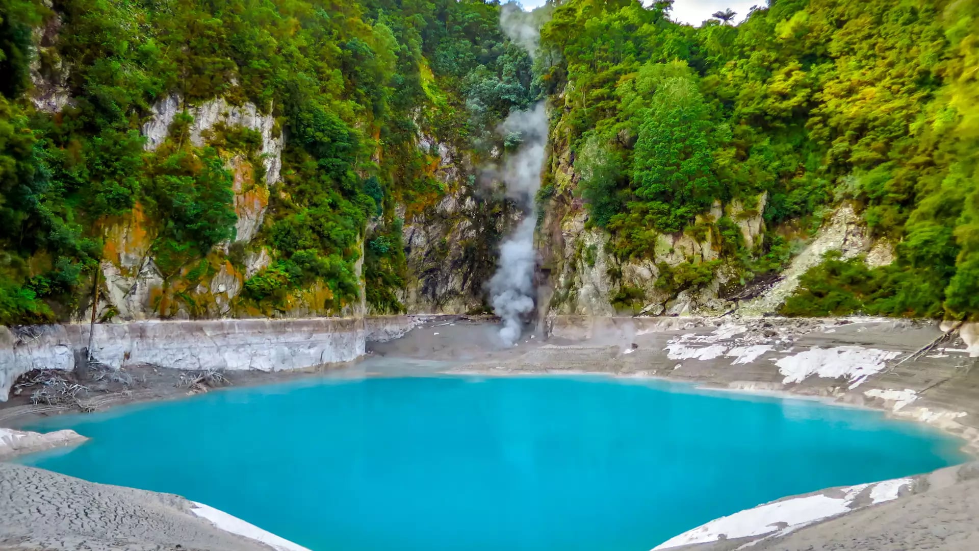 A bright turquoise geothermal lake, Inferno Crater, sits at the base of a steep, forest-covered cliff with a plume of white steam rising from the water's edge at Waimangu Volcanic Valley.